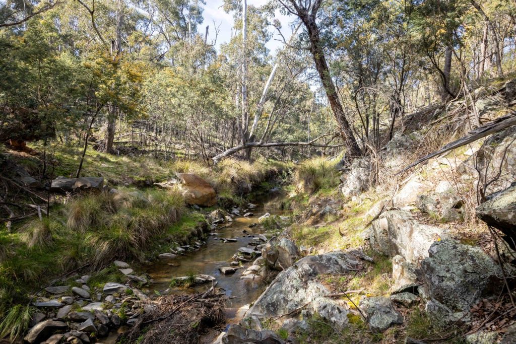 Sold - 528 Gundowda Road - New Property in Mudgee - Real Estate by Hamish Rowe