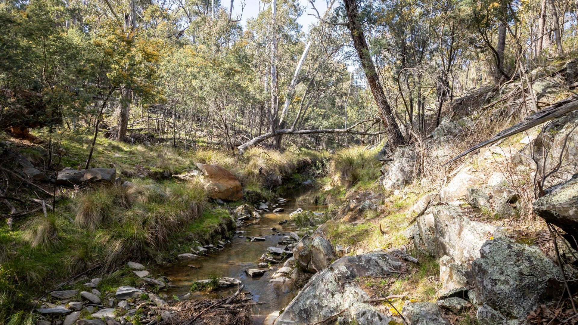 Sold - 528 Gundowda Road - New Property in Mudgee - Real Estate by Hamish Rowe