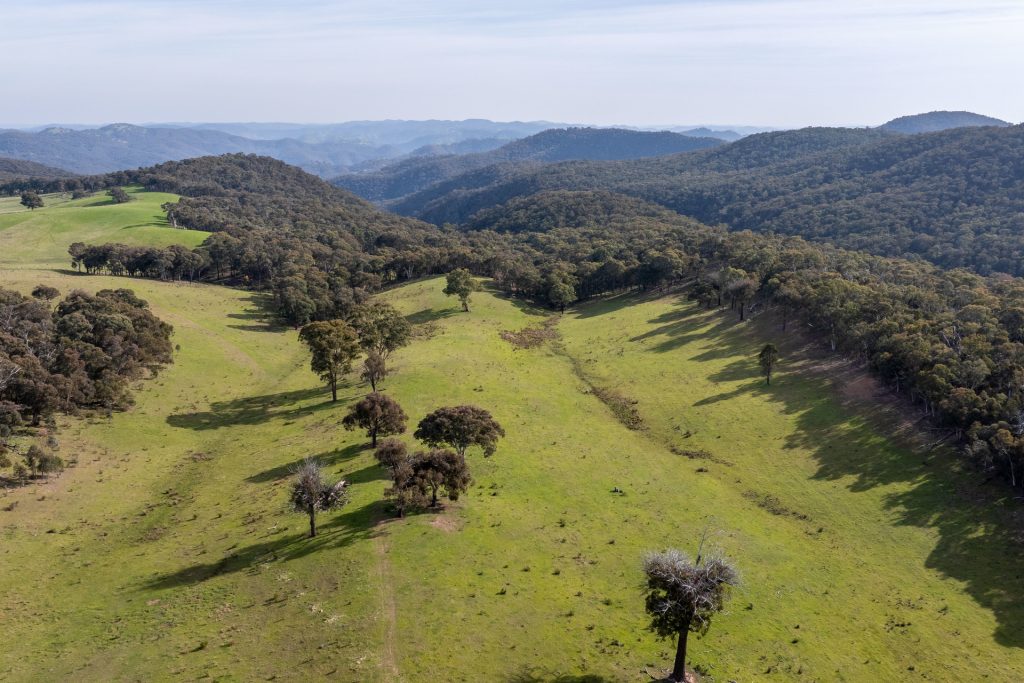 Sold - 528 Gundowda Road - New Property in Mudgee - Real Estate by Hamish Rowe