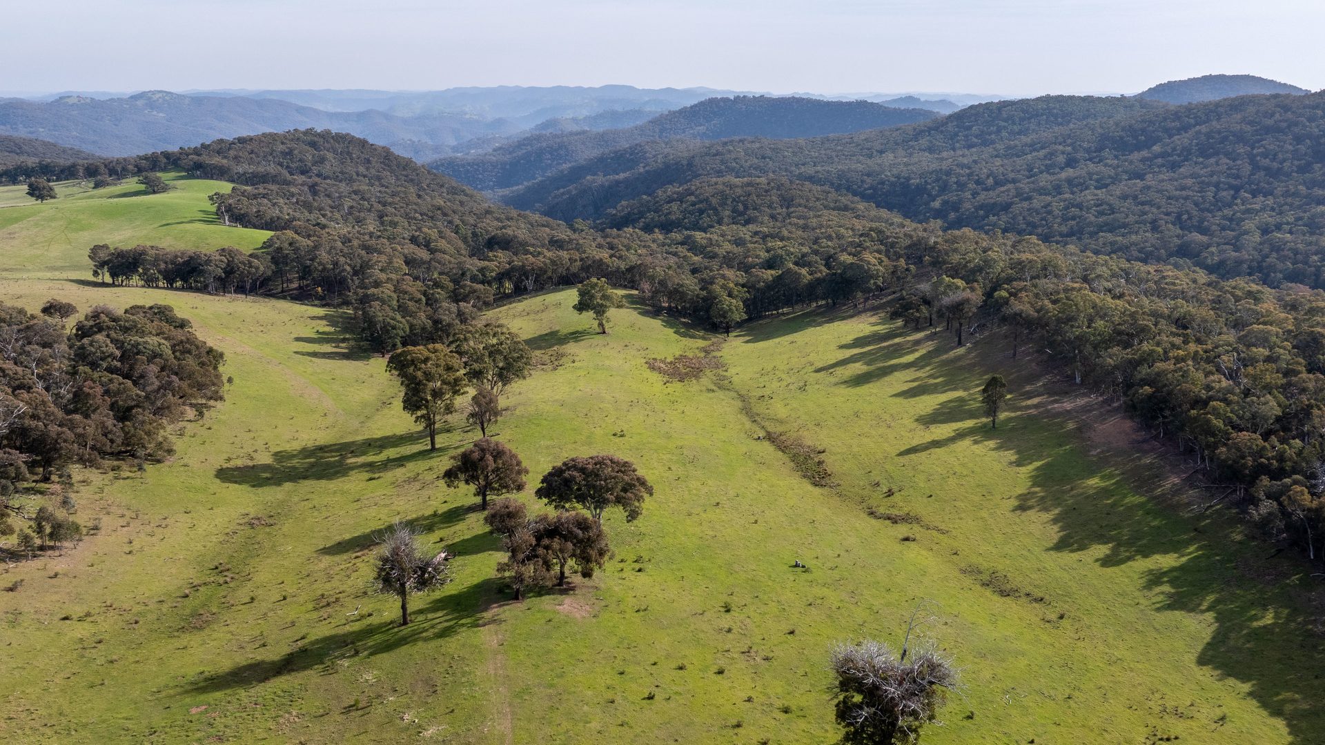 Sold - 528 Gundowda Road - New Property in Mudgee - Real Estate by Hamish Rowe