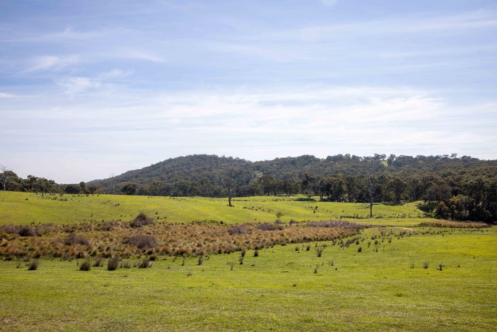 Sold - 528 Gundowda Road - New Property in Mudgee - Real Estate by Hamish Rowe