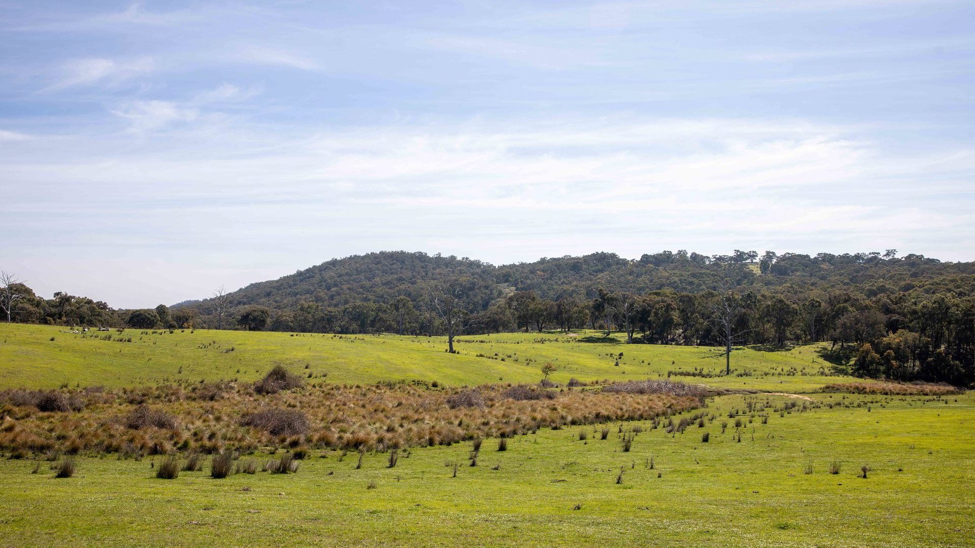 Sold - 528 Gundowda Road - New Property in Mudgee - Real Estate by Hamish Rowe