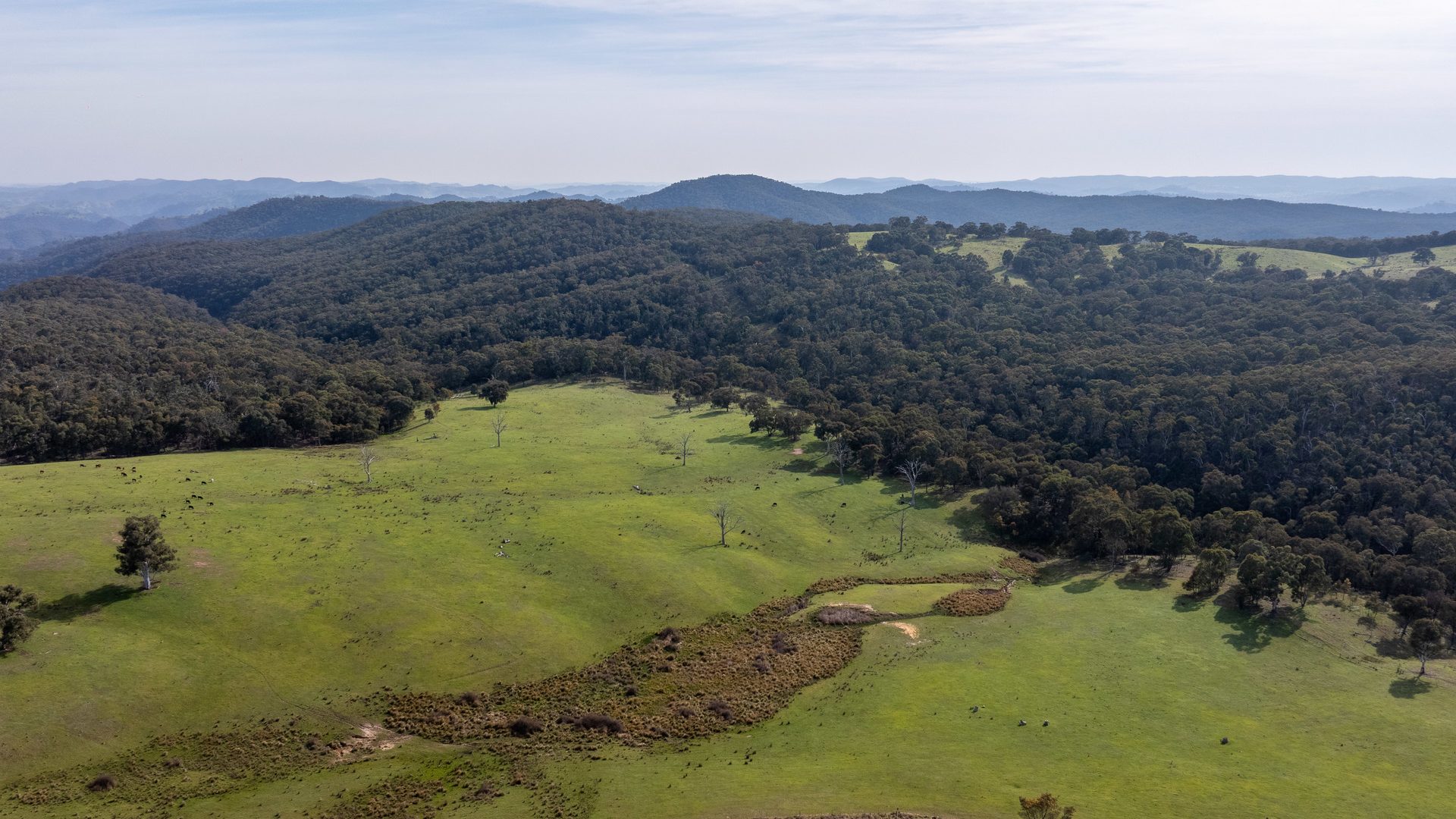 Sold - 528 Gundowda Road - New Property in Mudgee - Real Estate by Hamish Rowe