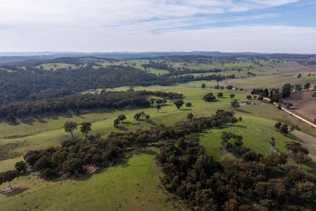 Sold - 528 Gundowda Road - New Property in Mudgee - Real Estate by Hamish Rowe