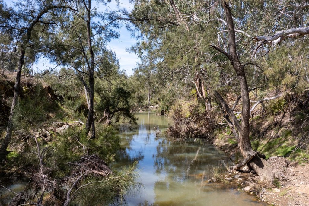 For Sale -  Lot 179, 82 Windgraves Road - New Property in Mudgee - Real Estate by Adam Woods