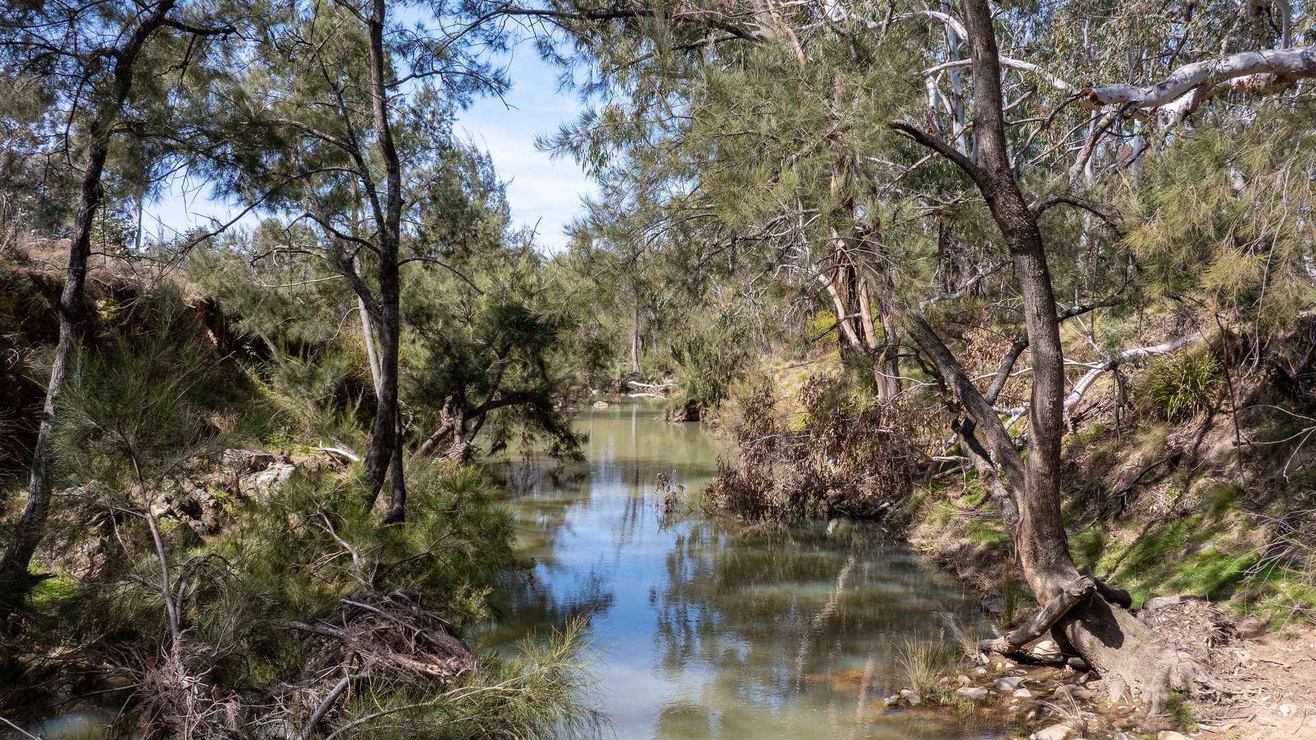 For Sale -  Lot 179, 82 Windgraves Road - New Property in Mudgee - Real Estate by Adam Woods