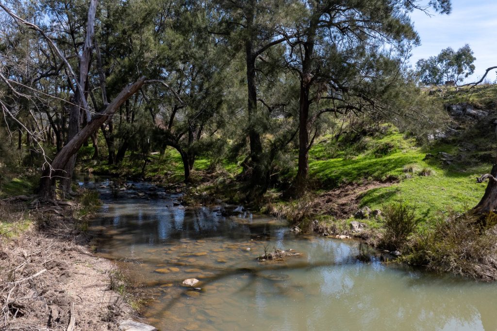 For Sale -  Lot 179, 82 Windgraves Road - New Property in Mudgee - Real Estate by Adam Woods