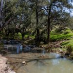 Lot 179, 82 Windgraves Road Mudgee NSW 2850 AUS
