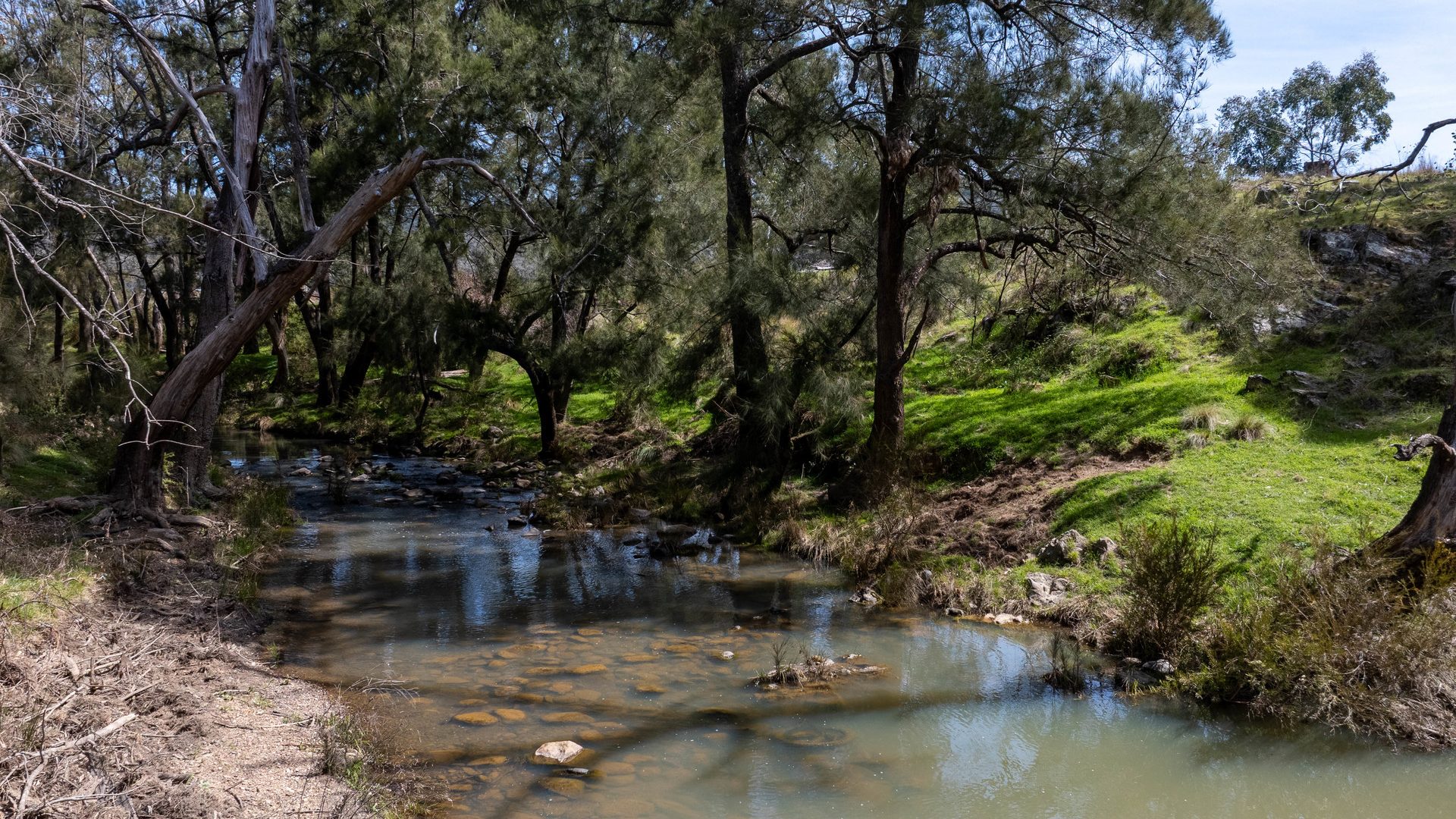 For Sale -  Lot 179, 82 Windgraves Road - New Property in Mudgee - Real Estate by Adam Woods