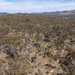 Lot 179, 82 Windgraves Road Mudgee NSW 2850 AUS
