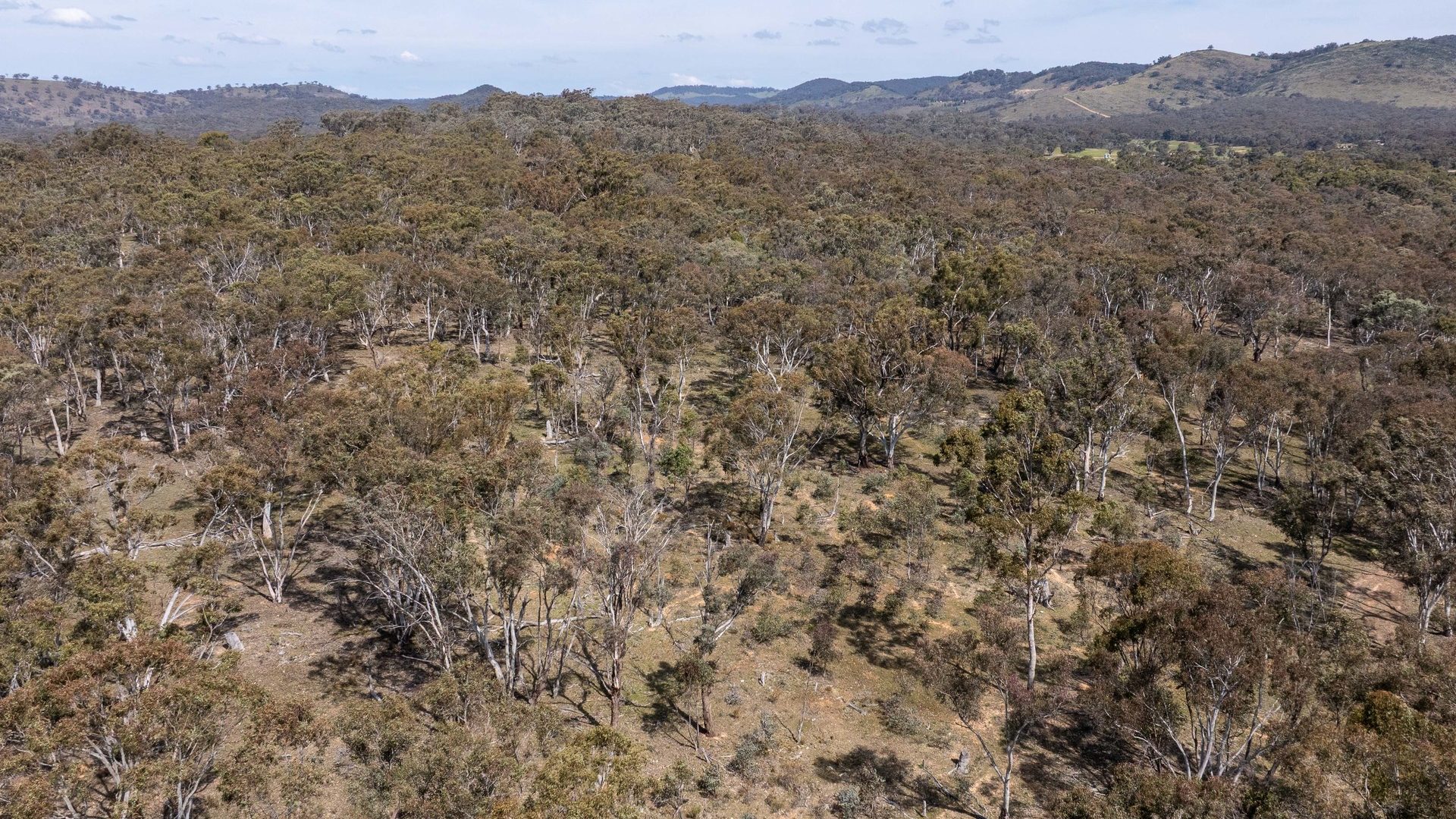 For Sale -  Lot 179, 82 Windgraves Road - New Property in Mudgee - Real Estate by Adam Woods