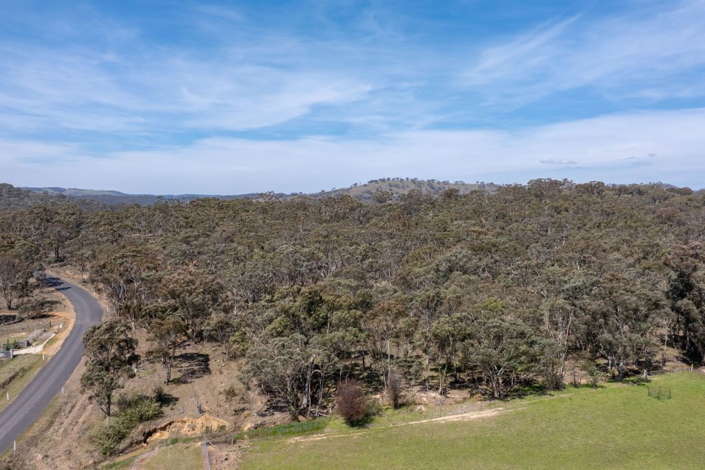 Sold -  Lot 187, 82 Windgraves Road - New Property in Mudgee - Real Estate by Adam Woods