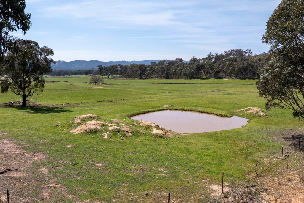 Sold -  Lot 187, 82 Windgraves Road - New Property in Mudgee - Real Estate by Adam Woods