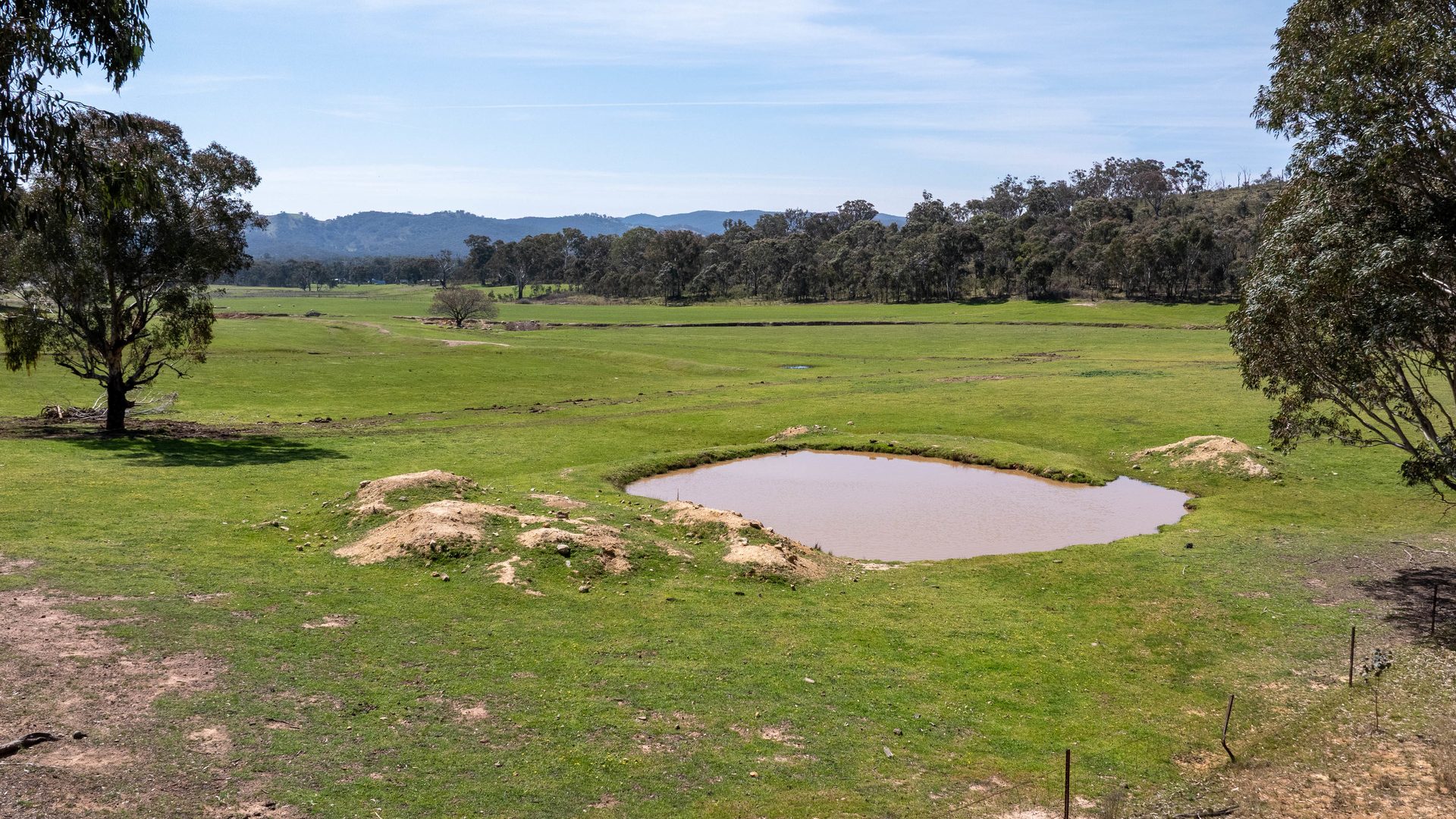 Sold -  Lot 187, 82 Windgraves Road - New Property in Mudgee - Real Estate by Adam Woods