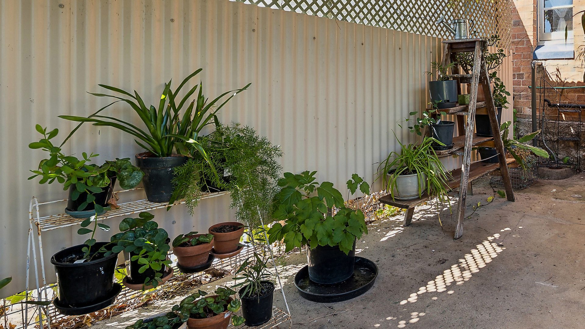 Sold - 19 Rodgers Street - New Property in Kandos - Real Estate by  