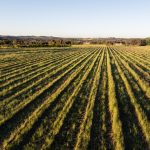 Lot 1 Black Springs Road Mudgee NSW 2850 AUS