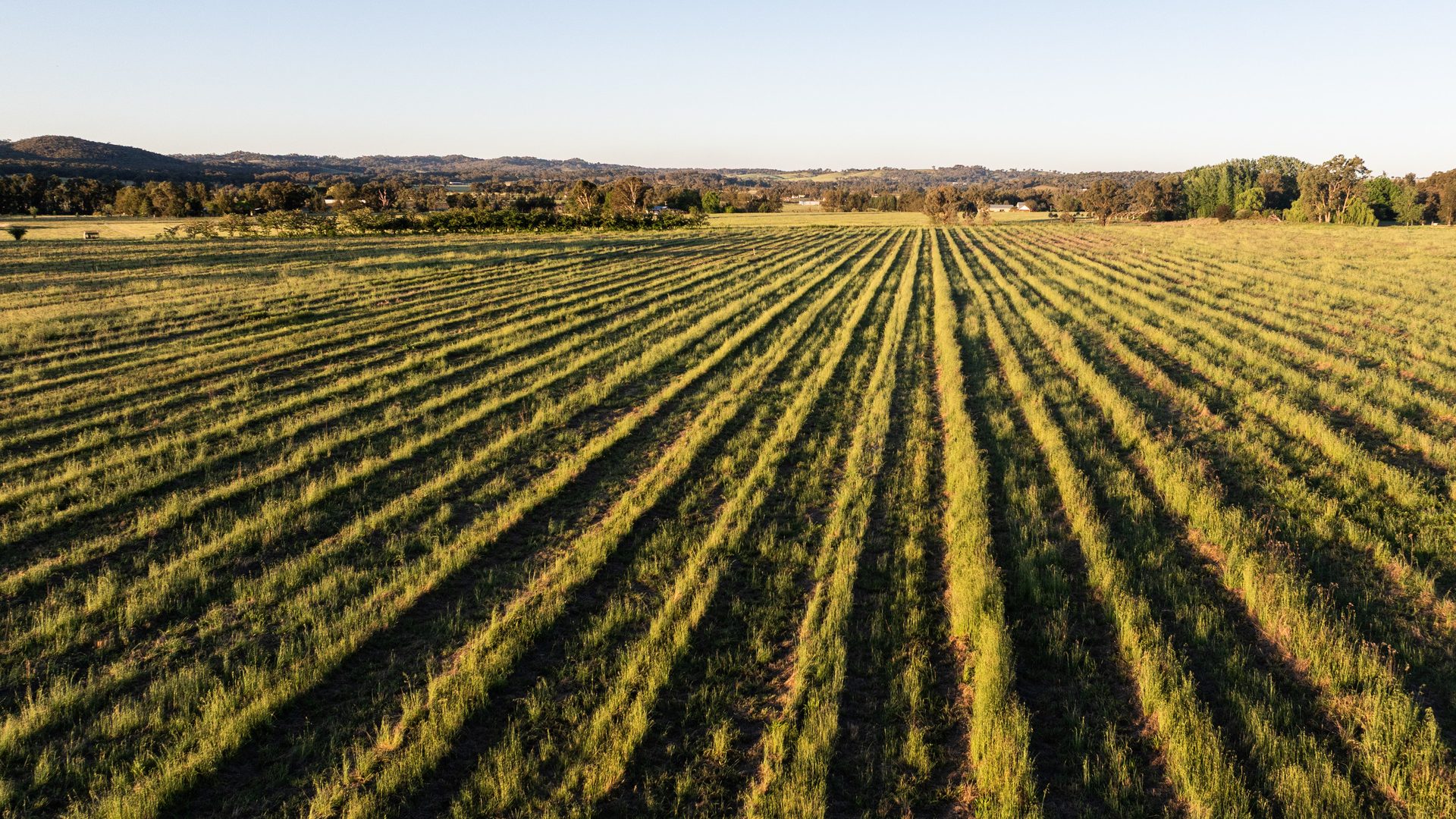 For Sale - Lot 1 Black Springs Road - New Property in Mudgee - Real Estate by Adam Woods