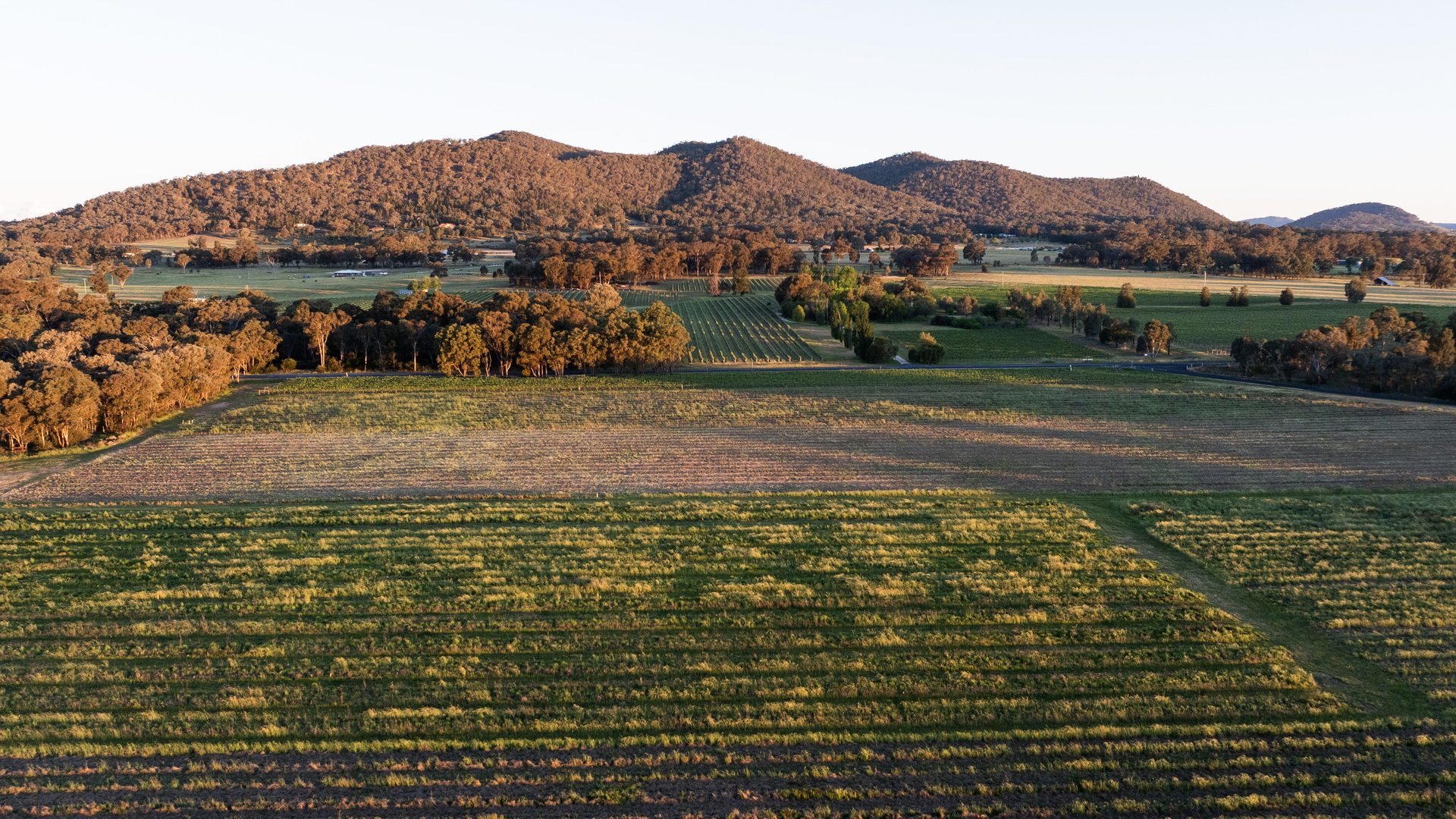 For Sale - Lot 1 Black Springs Road - New Property in Mudgee - Real Estate by Adam Woods