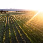 Lot 1 Black Springs Road Mudgee NSW 2850 AUS