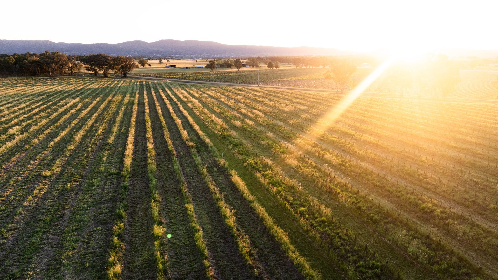 For Sale - Lot 1 Black Springs Road - New Property in Mudgee - Real Estate by Adam Woods