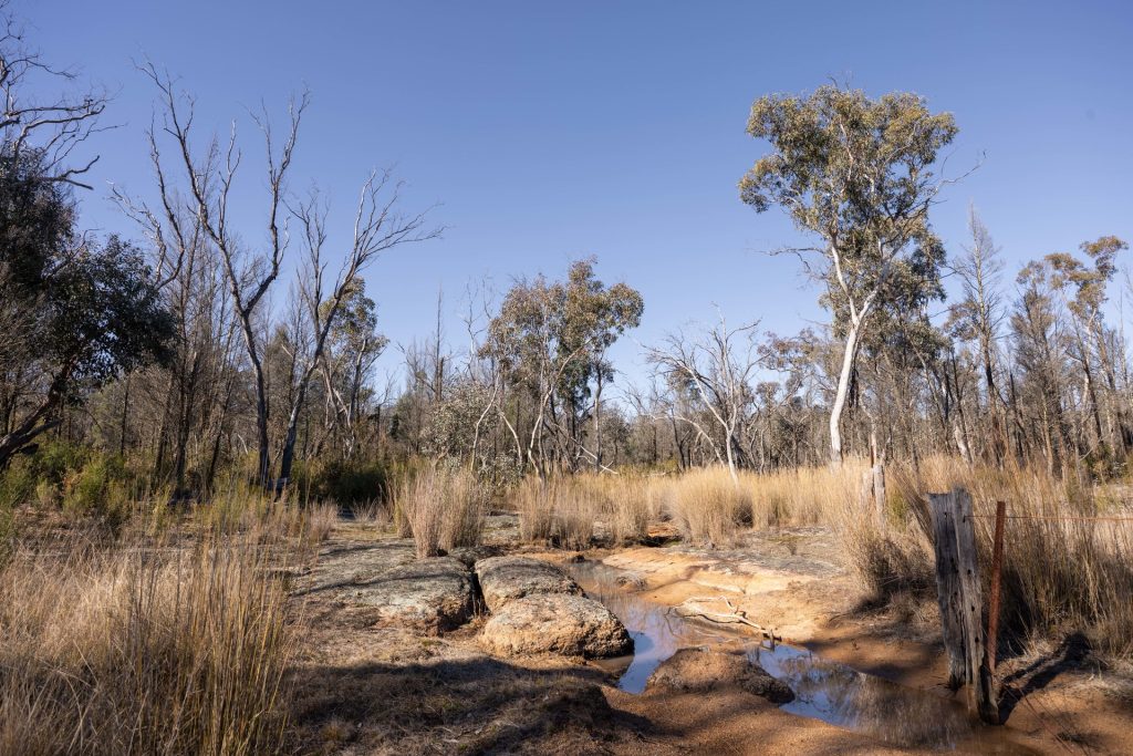 For Sale - 250 Springwood Park Road - New Property in Gulgong - Real Estate by Hamish Rowe