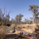 250 Springwood Park Road Gulgong NSW 2852 AUS