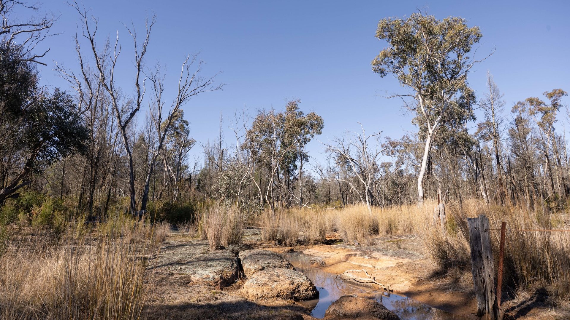 For Sale - 250 Springwood Park Road - New Property in Gulgong - Real Estate by Hamish Rowe