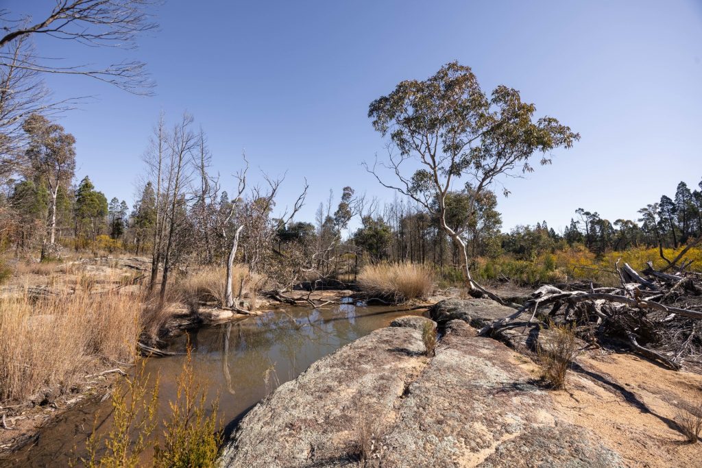 For Sale - 250 Springwood Park Road - New Property in Gulgong - Real Estate by Hamish Rowe