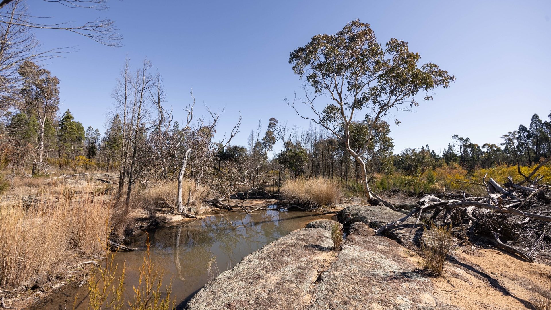 For Sale - 250 Springwood Park Road - New Property in Gulgong - Real Estate by Hamish Rowe