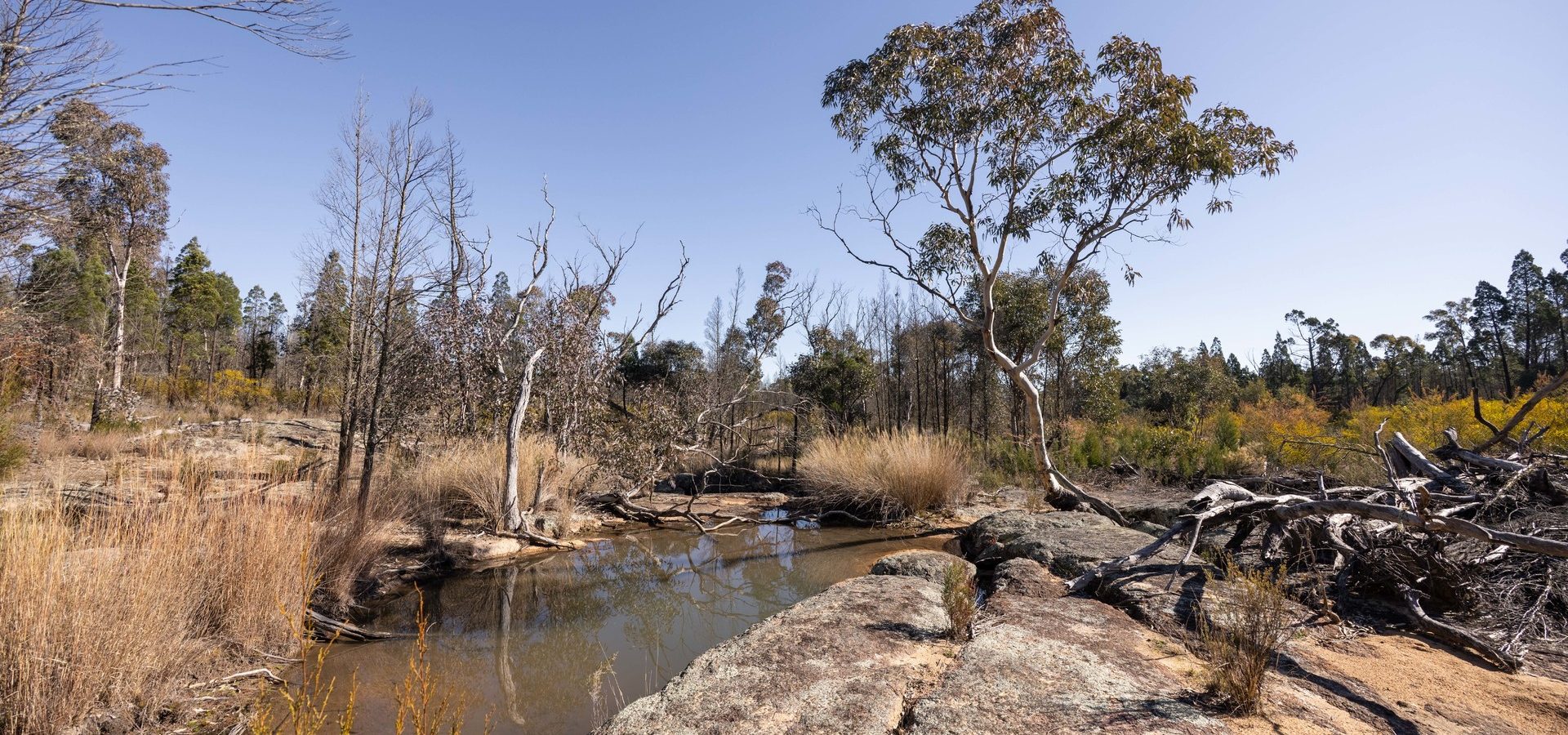 For Sale - 250 Springwood Park Road - New Property in Gulgong - Real Estate by Hamish Rowe