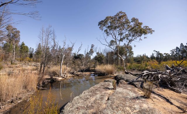 For Sale - 250 Springwood Park Road - New Property in Gulgong - Real Estate by Hamish Rowe