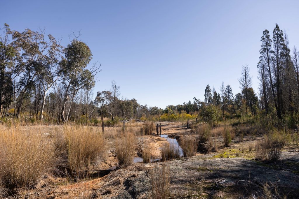 For Sale - 250 Springwood Park Road - New Property in Gulgong - Real Estate by Hamish Rowe