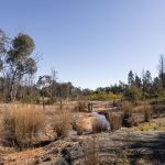 250 Springwood Park Road Gulgong NSW 2852 AUS