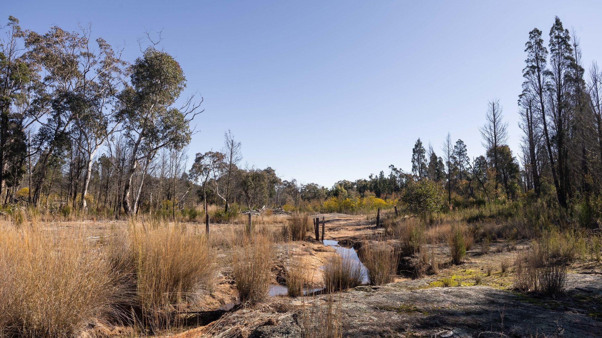 For Sale - 250 Springwood Park Road - New Property in Gulgong - Real Estate by Hamish Rowe