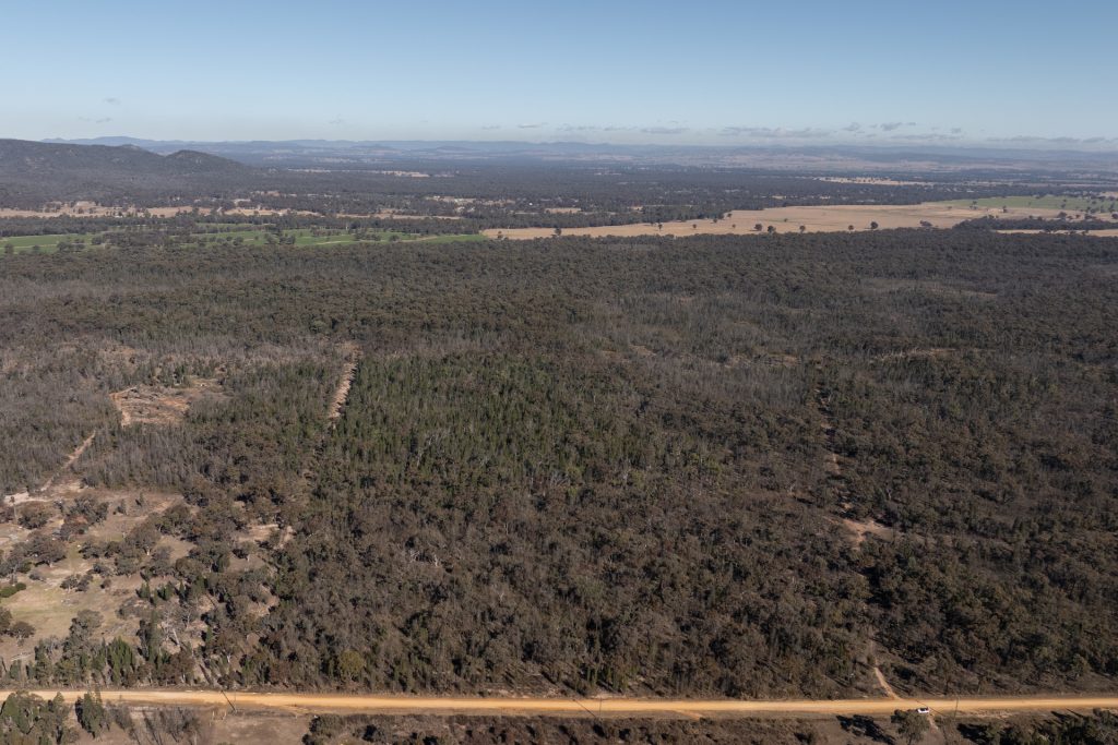 For Sale - 250 Springwood Park Road - New Property in Gulgong - Real Estate by Hamish Rowe