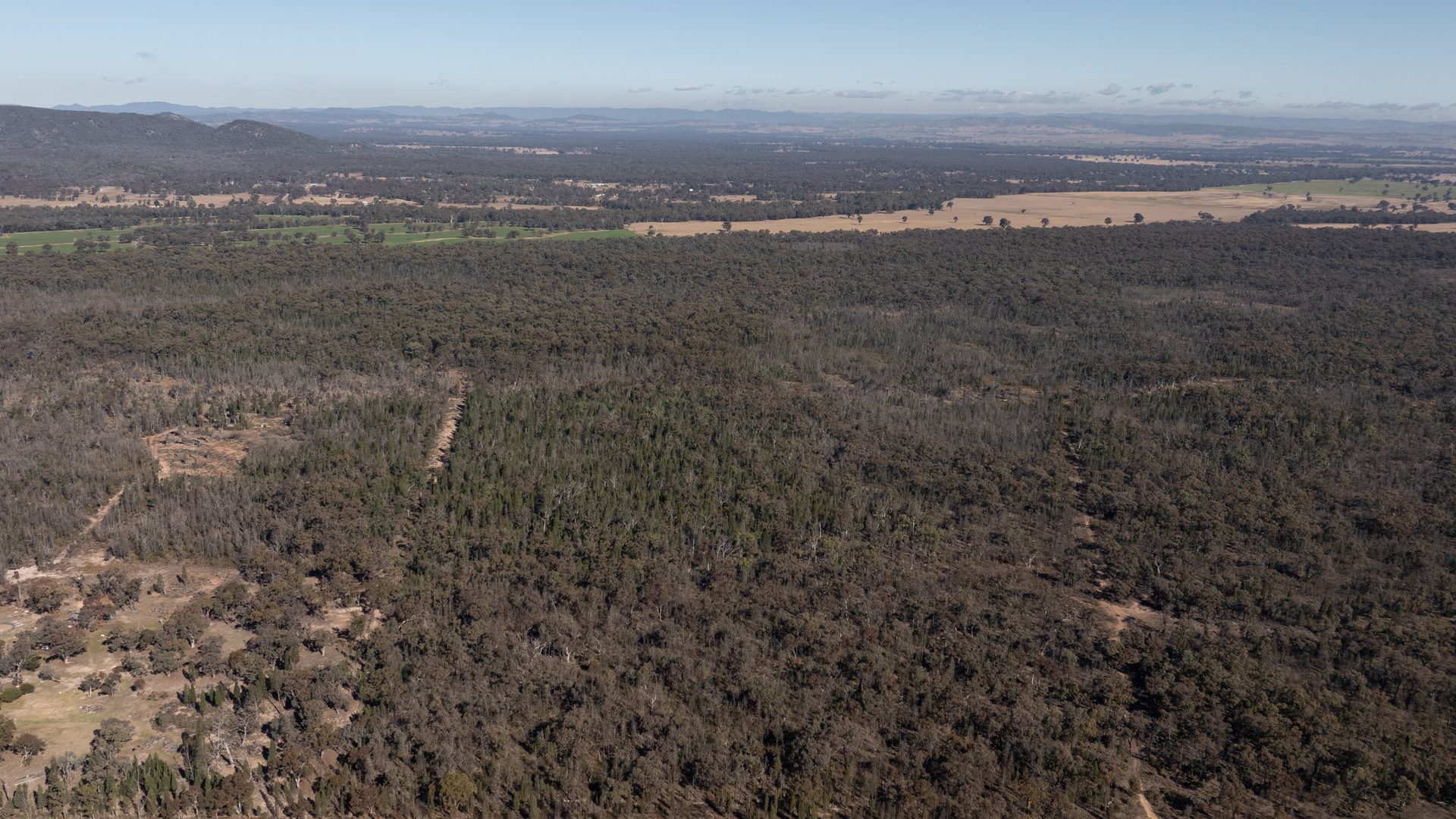 For Sale - 250 Springwood Park Road - New Property in Gulgong - Real Estate by Hamish Rowe