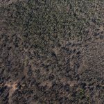 250 Springwood Park Road Gulgong NSW 2852 AUS