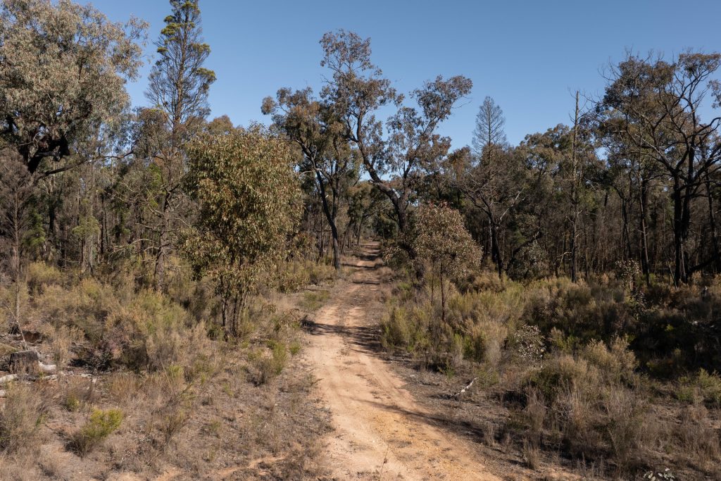 For Sale - 250 Springwood Park Road - New Property in Gulgong - Real Estate by Hamish Rowe