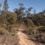 250 Springwood Park Road Gulgong NSW 2852 AUS
