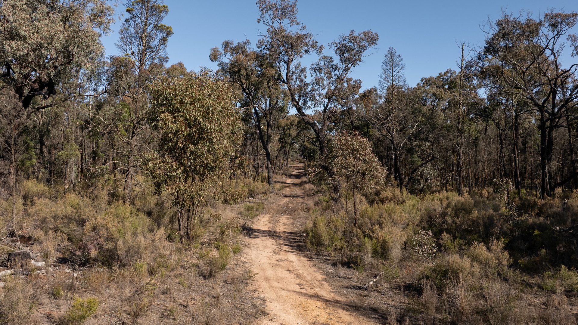 For Sale - 250 Springwood Park Road - New Property in Gulgong - Real Estate by Hamish Rowe