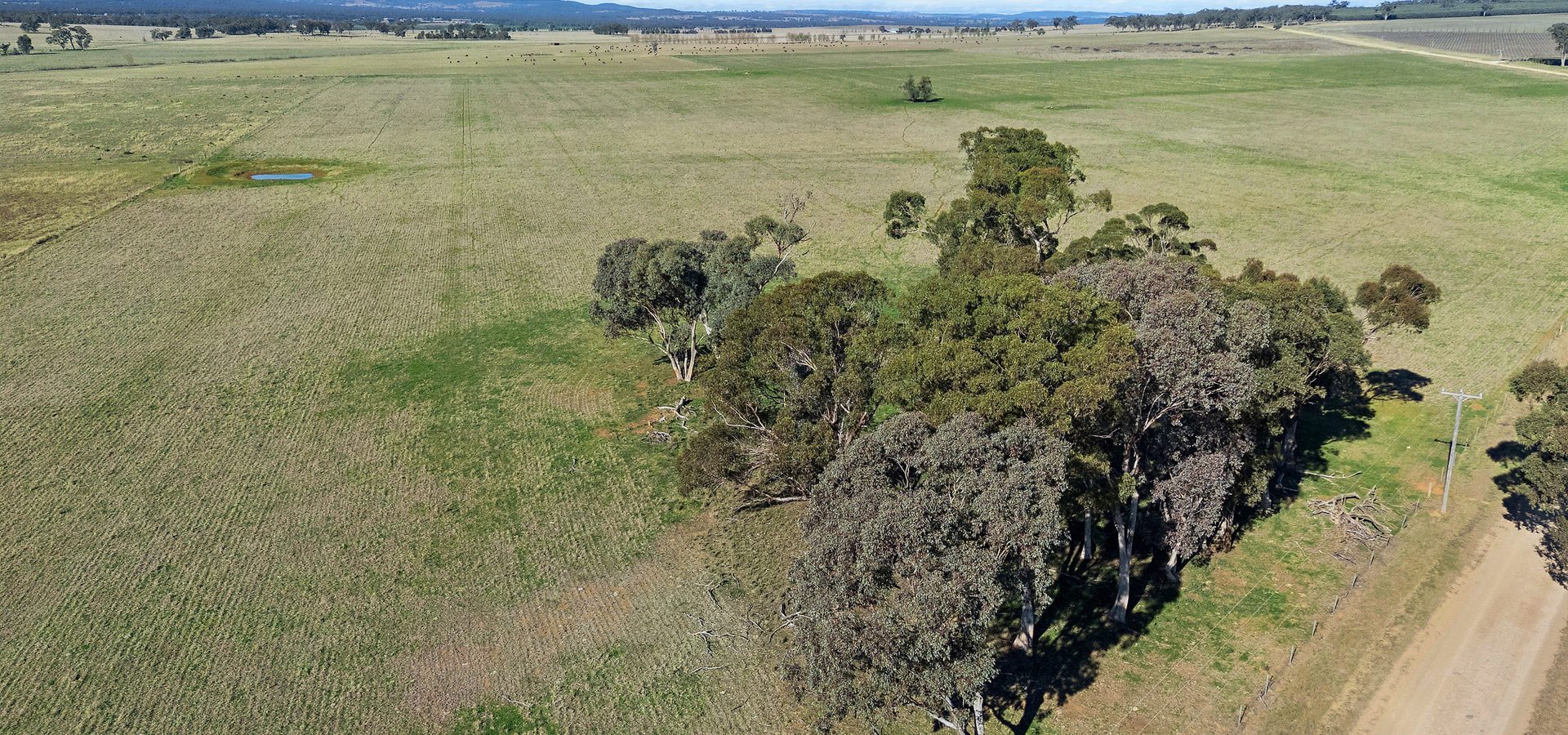 Sold -  Lots 120 - 125 Of 2357 Henry Lawson Drive - New Property in Gulgong - Real Estate by Stewart Adlington