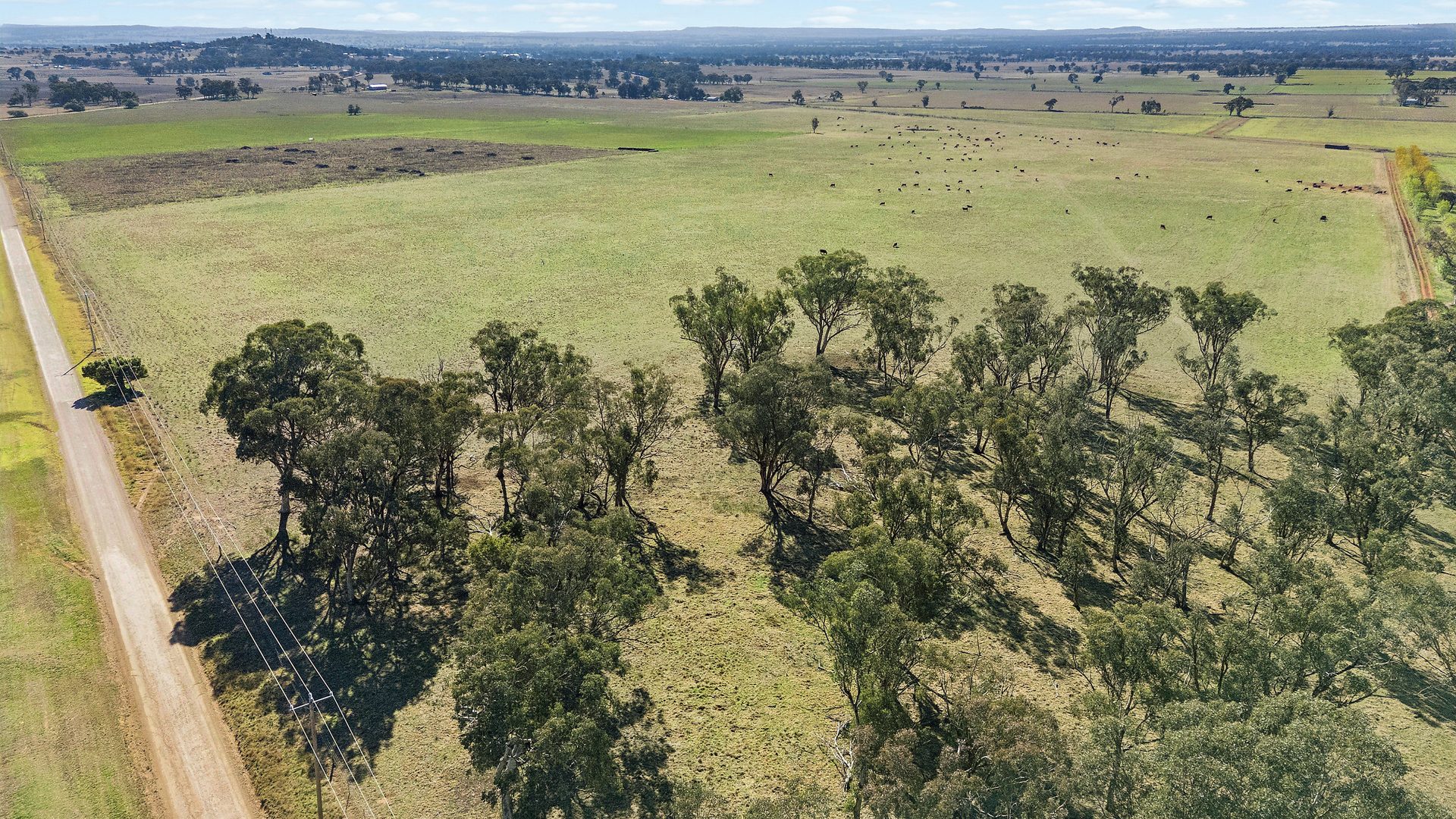 Sold -  Lots 120 - 125 Of 2357 Henry Lawson Drive - New Property in Gulgong - Real Estate by Stewart Adlington