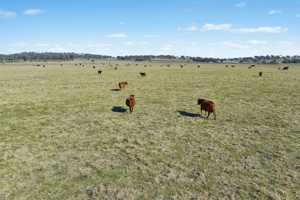 Sold -  Lots 120 - 125 Of 2357 Henry Lawson Drive - New Property in Gulgong - Real Estate by Stewart Adlington