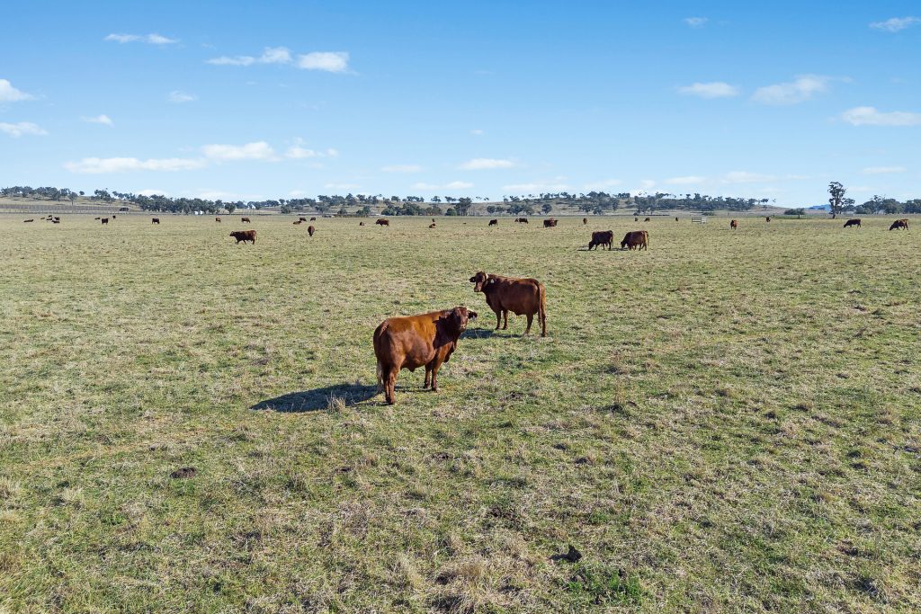 Sold -  Lots 120 - 125 Of 2357 Henry Lawson Drive - New Property in Gulgong - Real Estate by Stewart Adlington