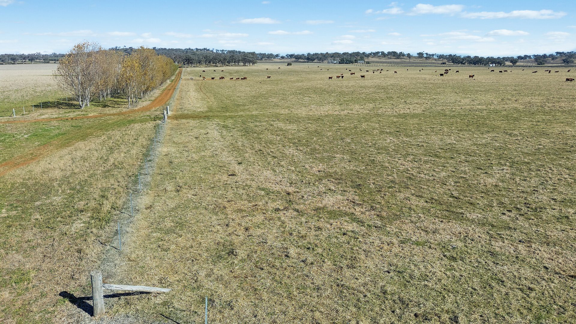Sold -  Lots 120 - 125 Of 2357 Henry Lawson Drive - New Property in Gulgong - Real Estate by Stewart Adlington