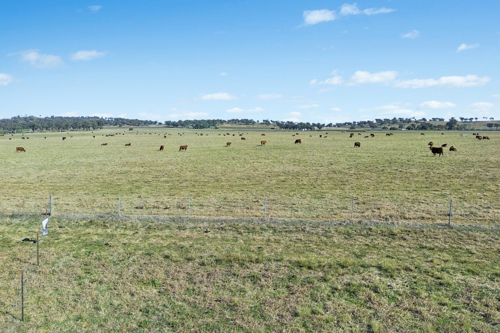 Sold -  Lots 120 - 125 Of 2357 Henry Lawson Drive - New Property in Gulgong - Real Estate by Stewart Adlington