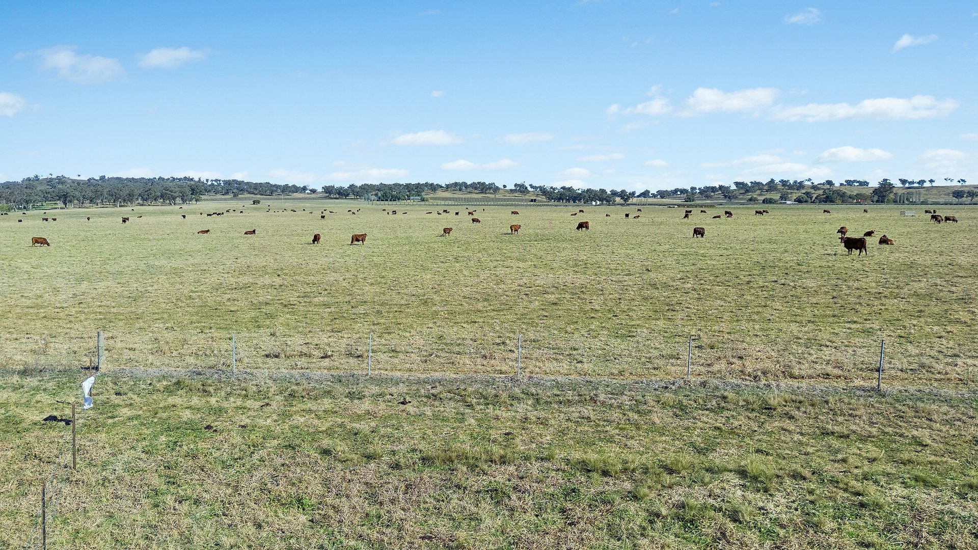 Sold -  Lots 120 - 125 Of 2357 Henry Lawson Drive - New Property in Gulgong - Real Estate by Stewart Adlington