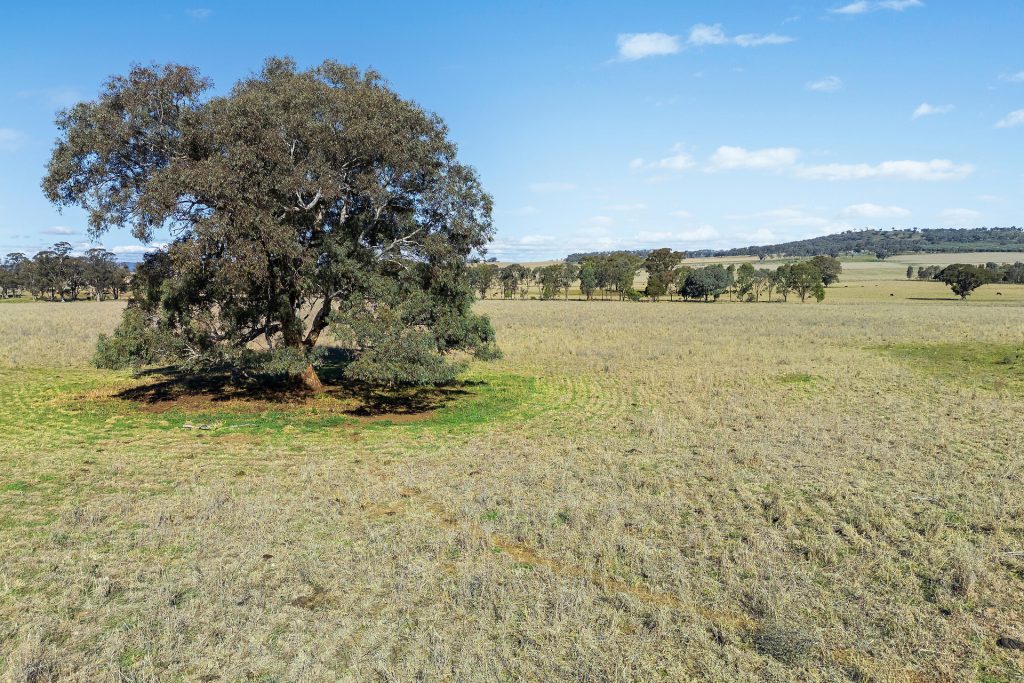 Sold -  Lots 126 & 419 Of 2357 Henry Lawson Drive - New Property in Gulgong - Real Estate by Stewart Adlington