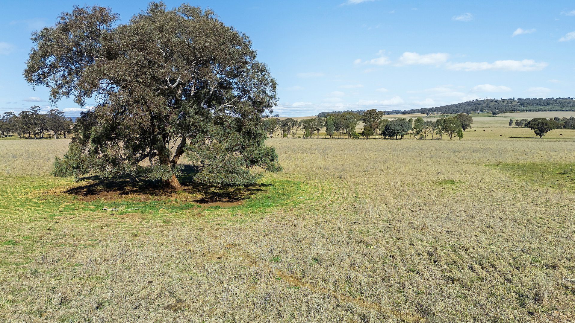 Sold -  Lots 126 & 419 Of 2357 Henry Lawson Drive - New Property in Gulgong - Real Estate by Stewart Adlington