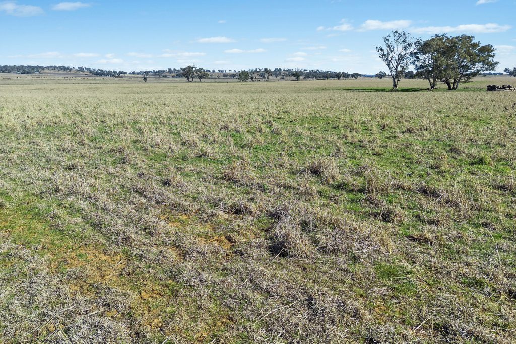 Sold -  Lots 39 & 118 Of 2611 Henry Lawson Drive - New Property in Gulgong - Real Estate by Stewart Adlington